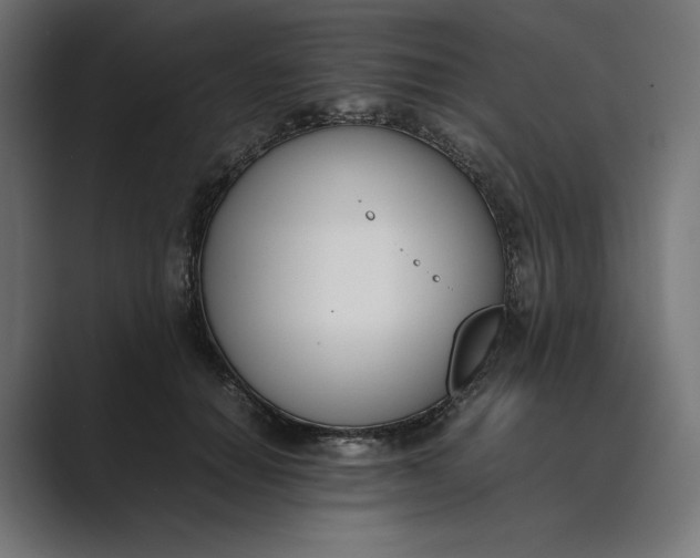 X0000089400654200706291408