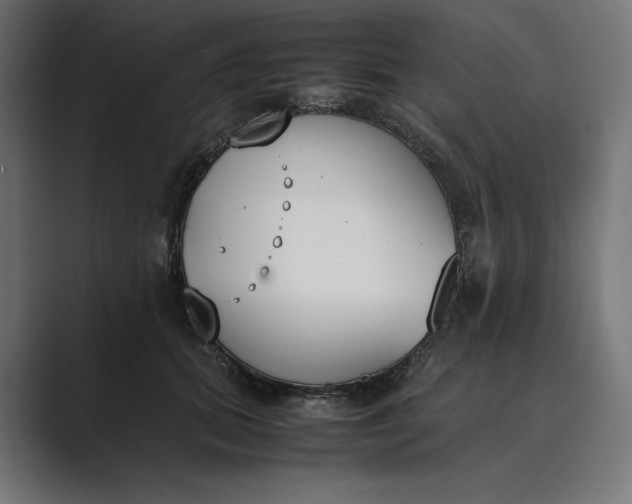 X0000089400655200706291408