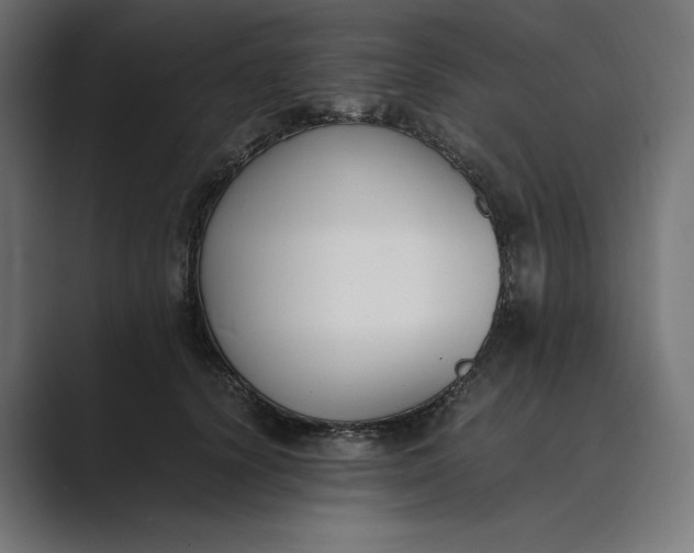 X0000089400656200706291408