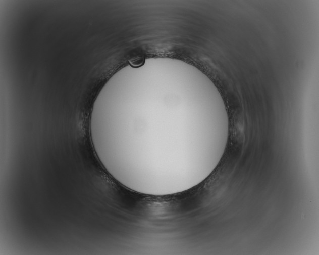 X0000089400658200706291408