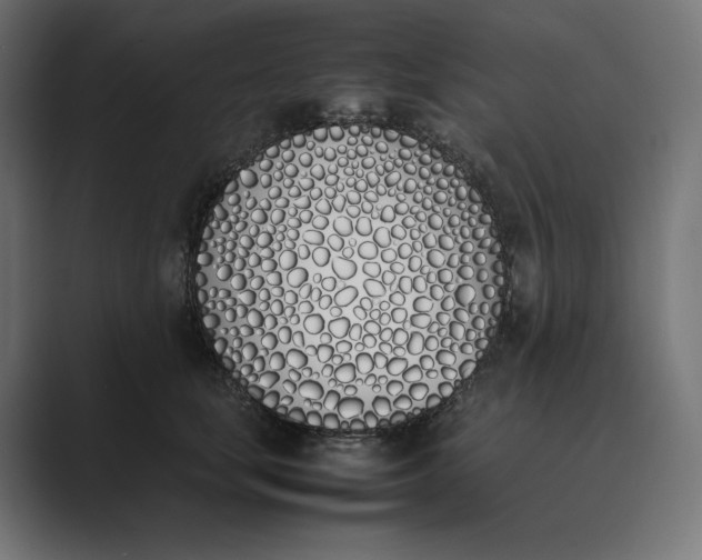 X0000089400659200706291408