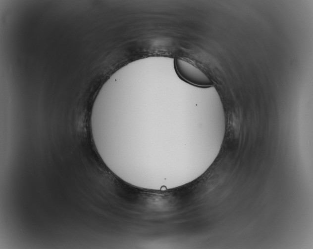 X0000089400663200706291408