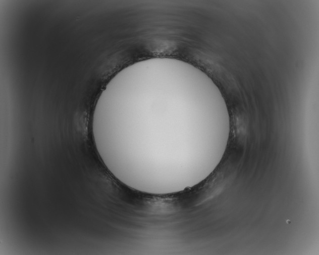 X0000089400664200706291408