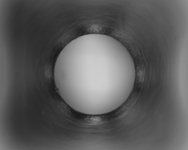 X0000089400665200706291408