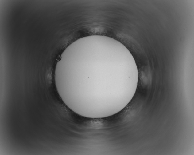 X0000089400668200706291408