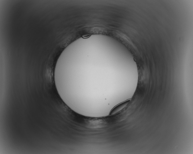 X0000089400669200706291408