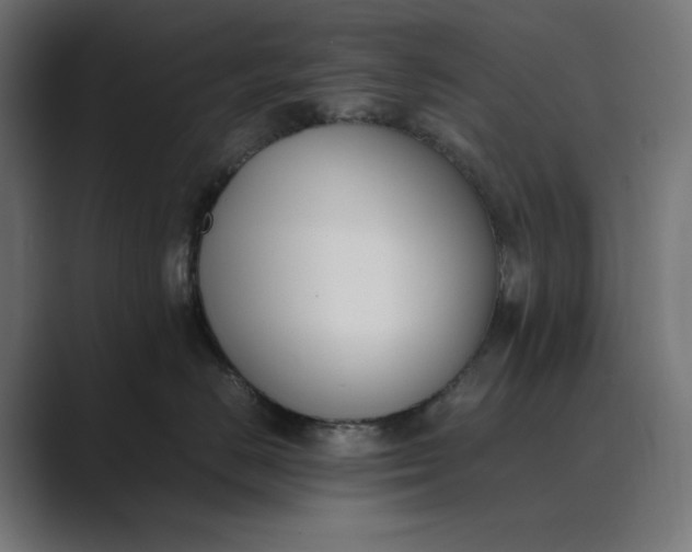 X0000089400670200706291408