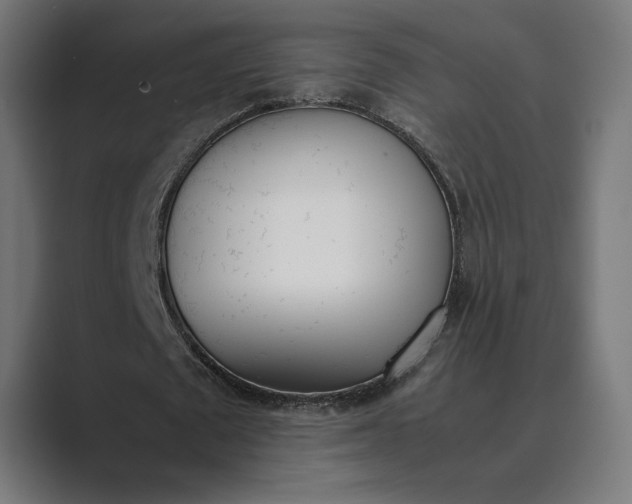 X0000089400673200706291408