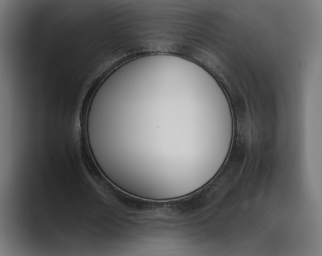 X0000089400674200706291408