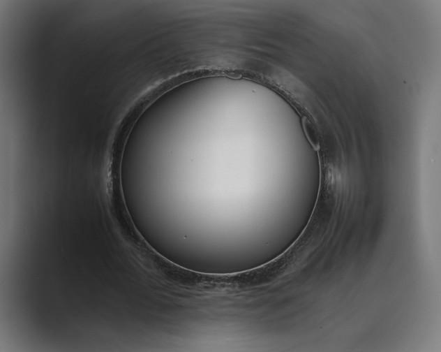 X0000089400676200706291407