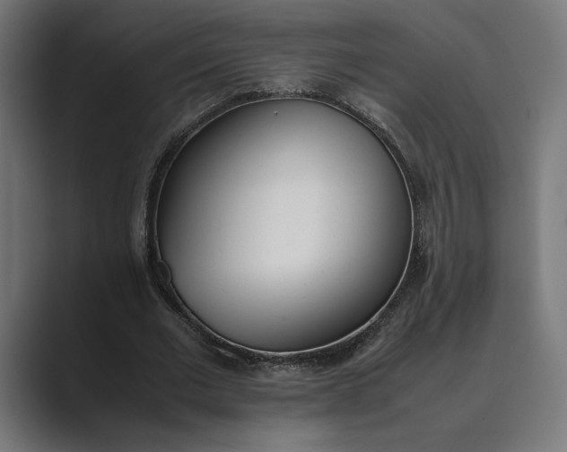 X0000089400677200706291407