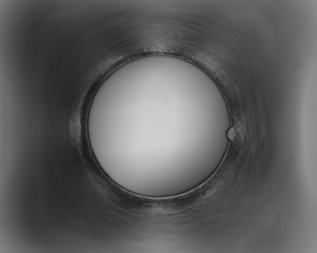 X0000089400678200706291407