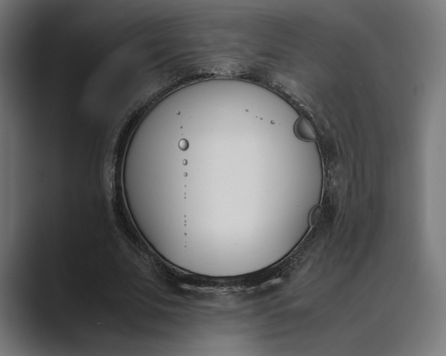 X0000089400679200706291407