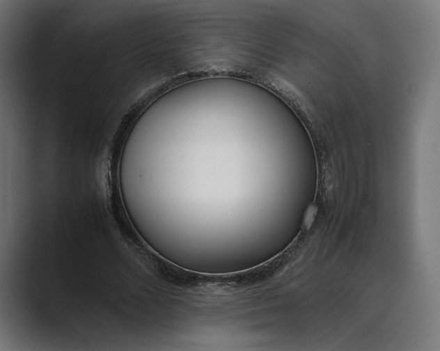 X0000089400680200706291407