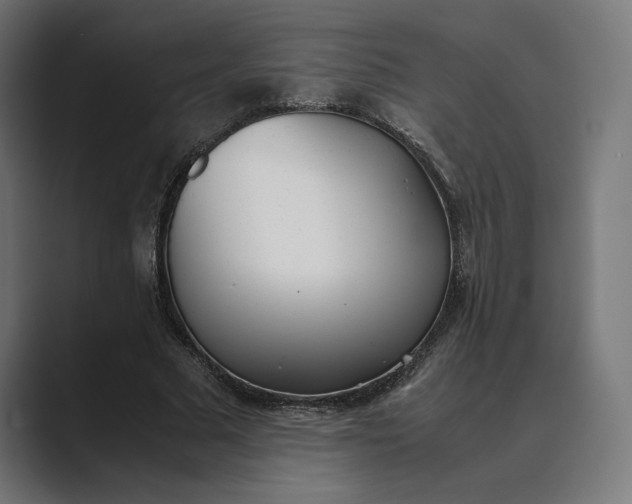 X0000089400681200706291407