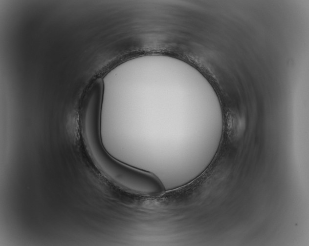 X0000089400684200706291407