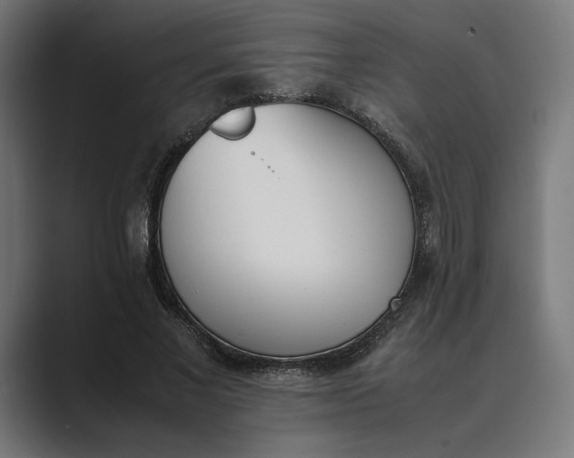 X0000089400685200706291407