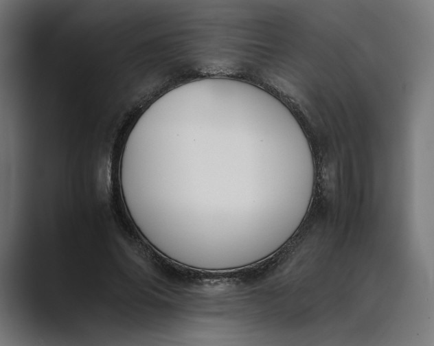 X0000089400686200706291407