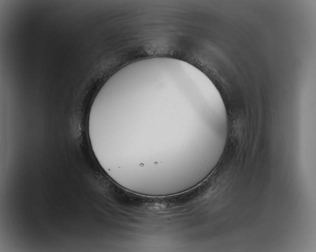 X0000089400687200706291407