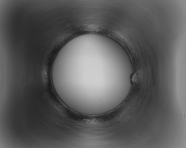 X0000089400688200706291407