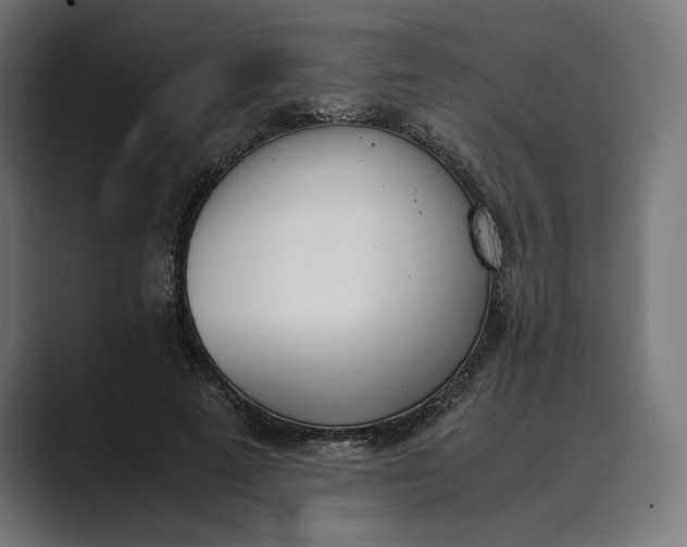 X0000089400689200706291407