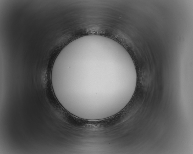 X0000089400690200706291407