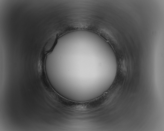 X0000089400692200706291407