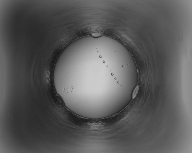 X0000089400693200706291407