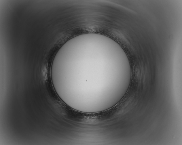 X0000089400694200706291407