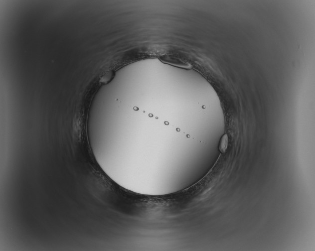 X0000089400697200706291407