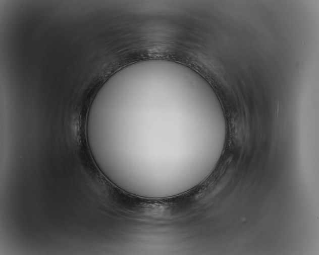 X0000089400698200706291407