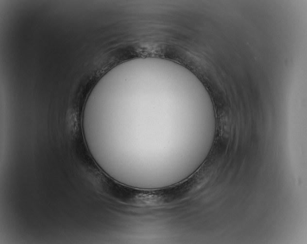 X0000089400699200706291407