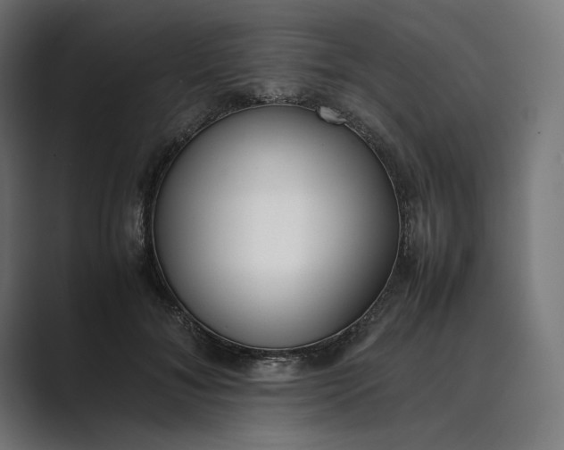 X0000089400700200706291407