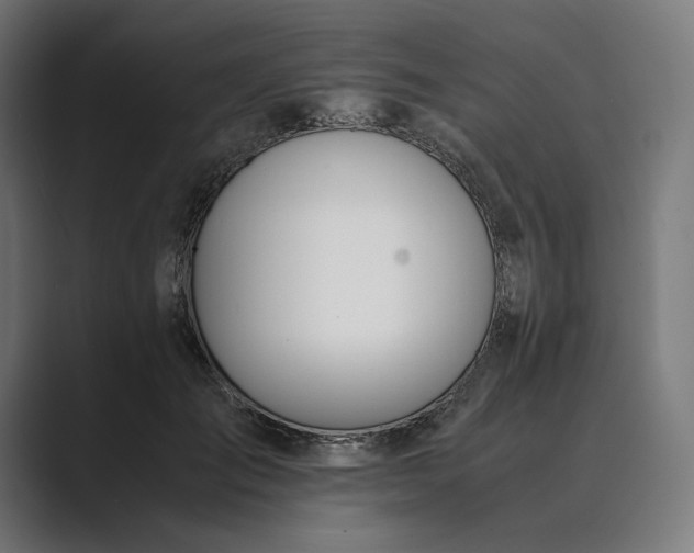 X0000089400701200706291407