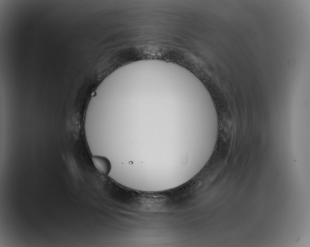 X0000089400707200706291407