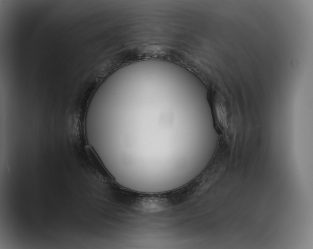 X0000089400708200706291407