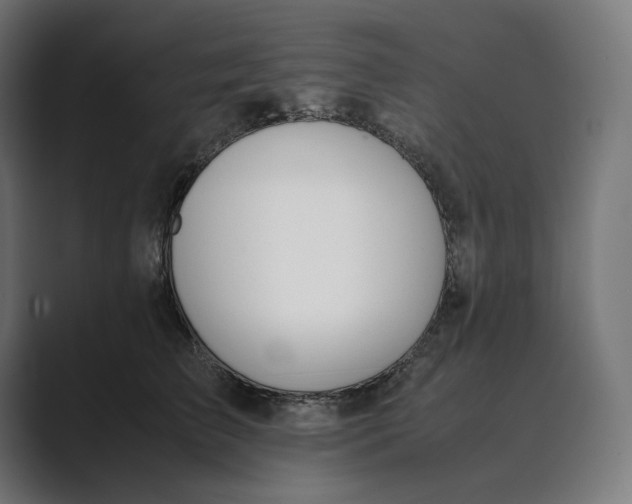 X0000089400709200706291407