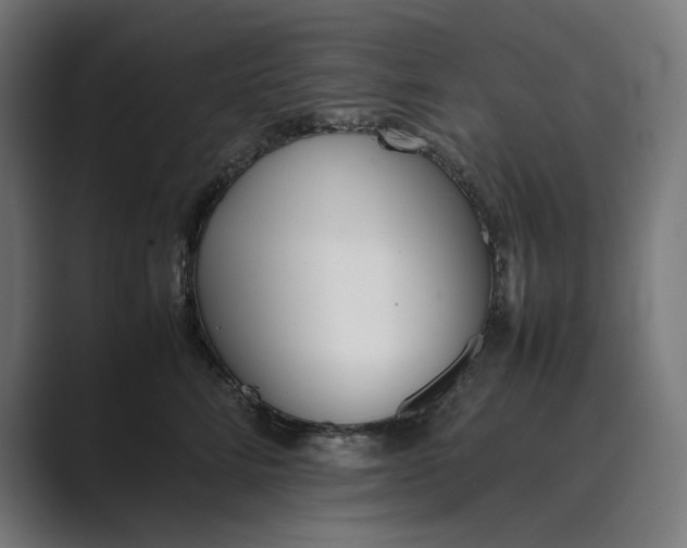 X0000089400712200706291407