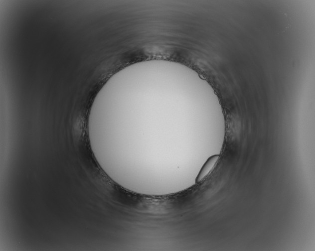 X0000089400713200706291407