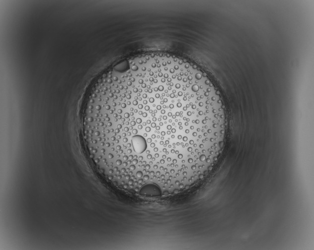 X0000089400721200706291406