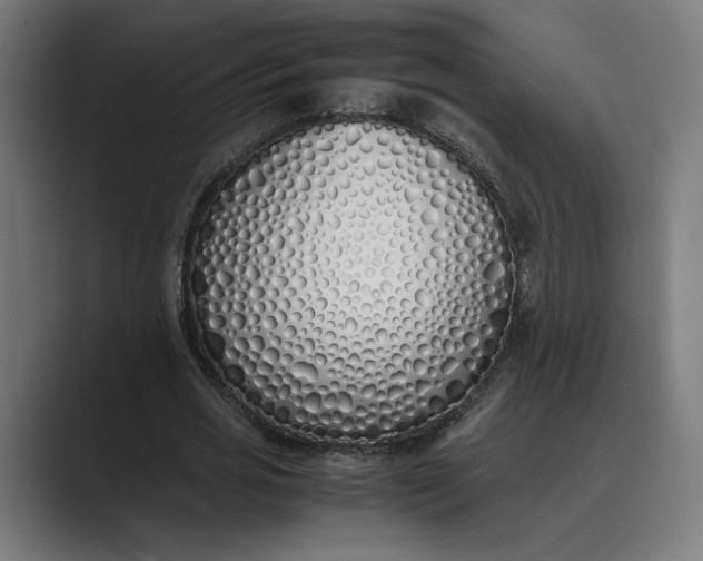 X0000089400725200706291406