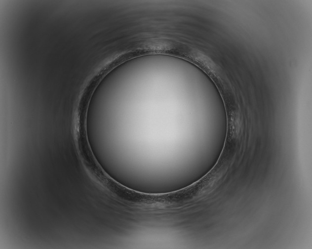 X0000089400726200706291406