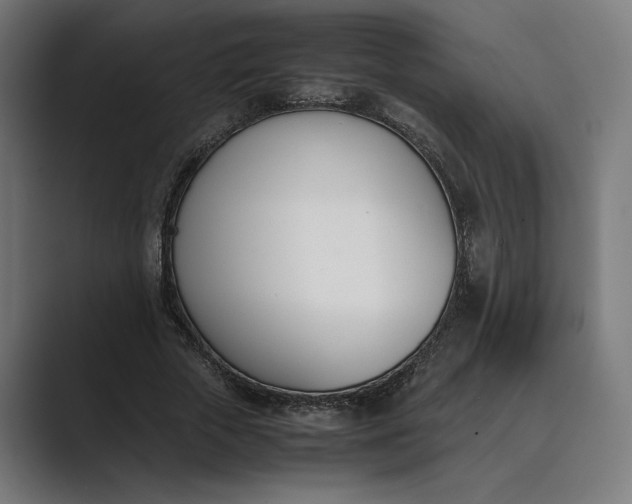 X0000089400729200706291407