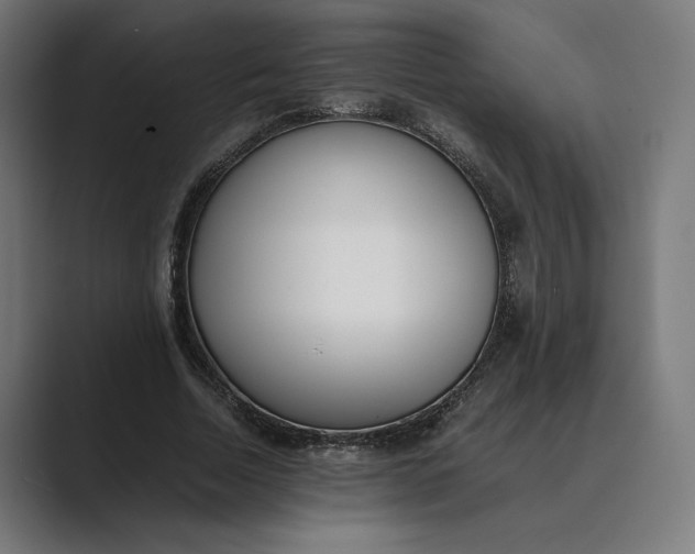 X0000089400730200706291407