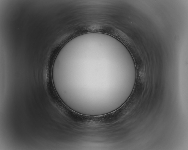 X0000089400732200706291407