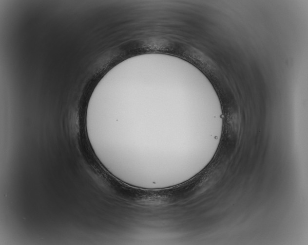 X0000089400734200706291407