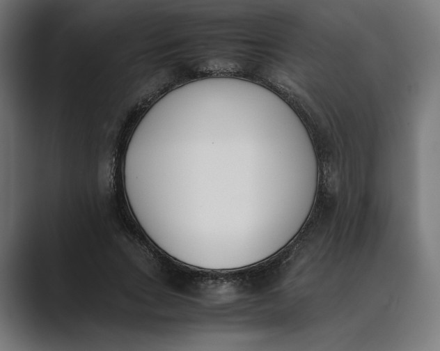 X0000089400735200706291407