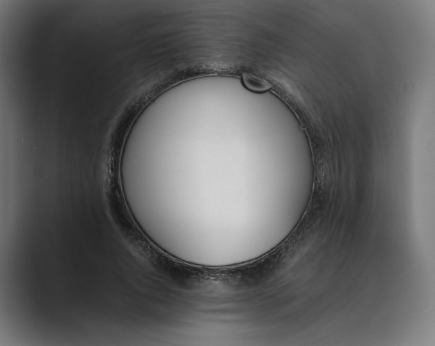 X0000089400736200706291407