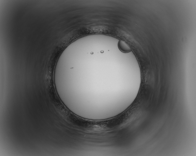 X0000089400737200706291407