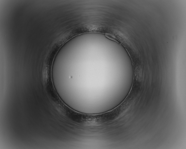 X0000089400740200706291407